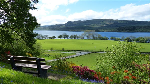 seating bench in a hill of bluebells and red & orange azaleas in bloom, overlooking a field and a loch